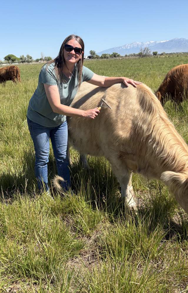 Utah Cow Cuddle: Why You’ll Be Happier after You Cuddle a Cow