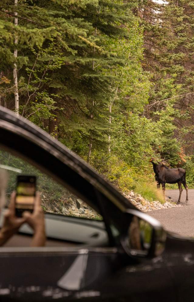 The Ultimate Guide to Alpine loop Scenic Byway