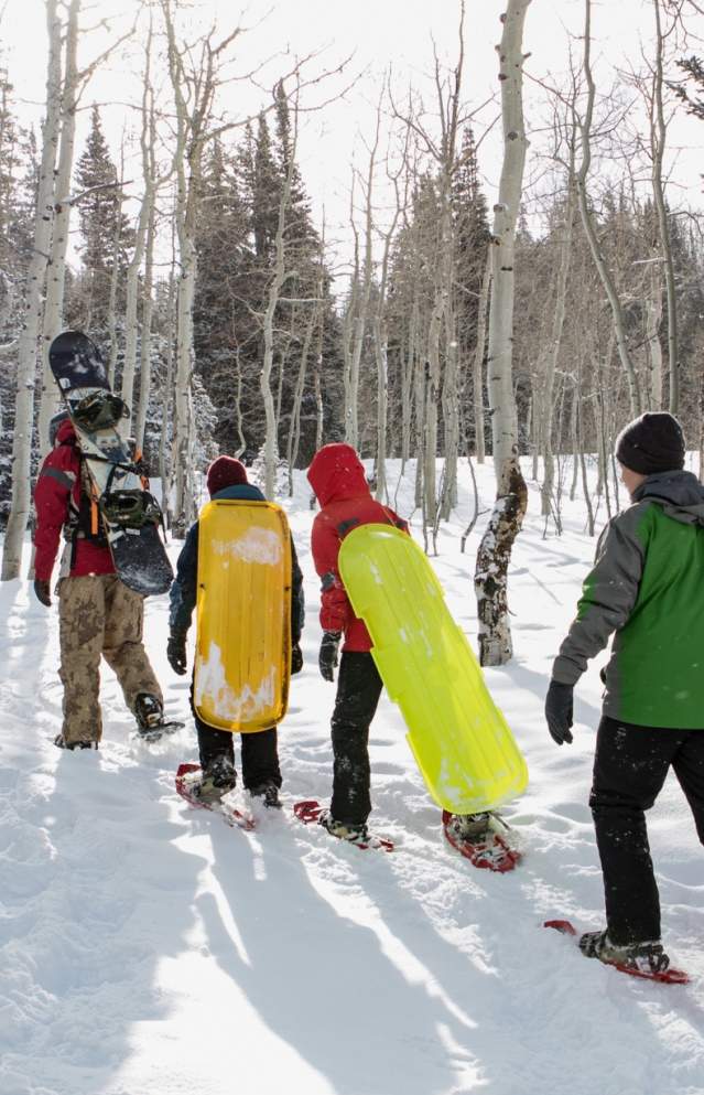 8 Epic Places to Go Sledding in Utah Valley