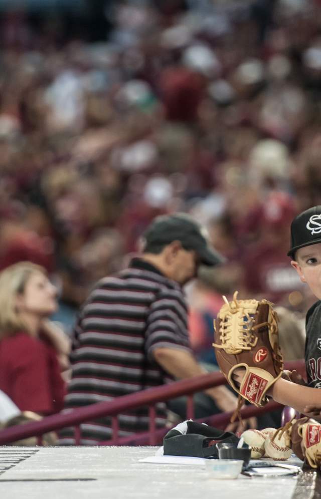 South Carolina Gamecocks Baseball