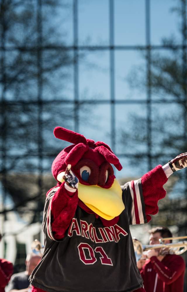 Cocky at Soda City Market for a March Madness parade.