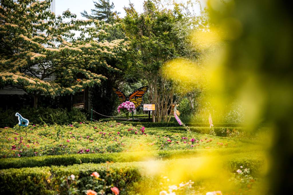 Green Animals Topiary Garden Reimagined | Sean Kenney's Nature
