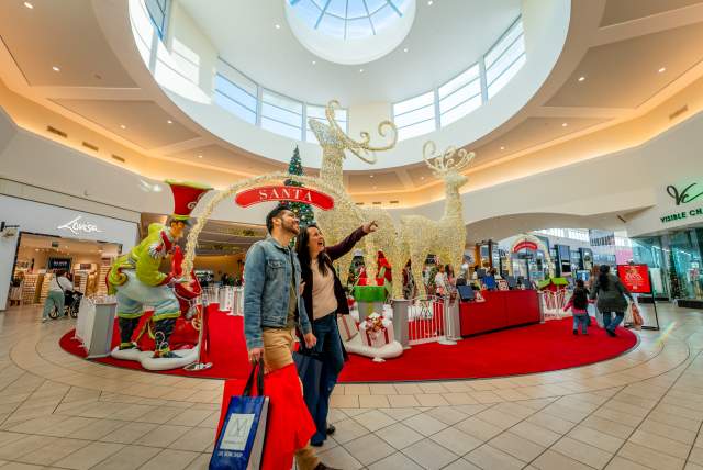 Holiday Shopping - Memorial City Mall