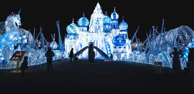 Magical Winter Lights