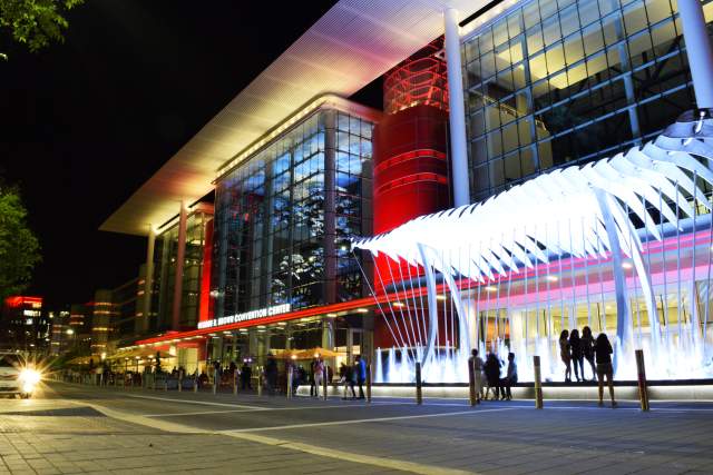 Avenida Plaza Night
