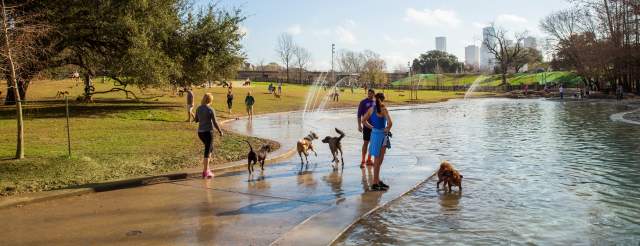 Dog Parks 