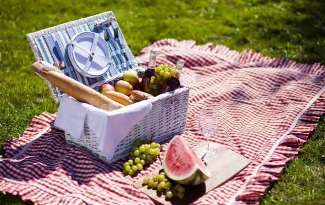 picnic stock photo