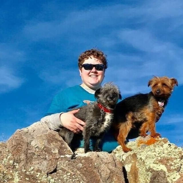 Fetch dog services 2025