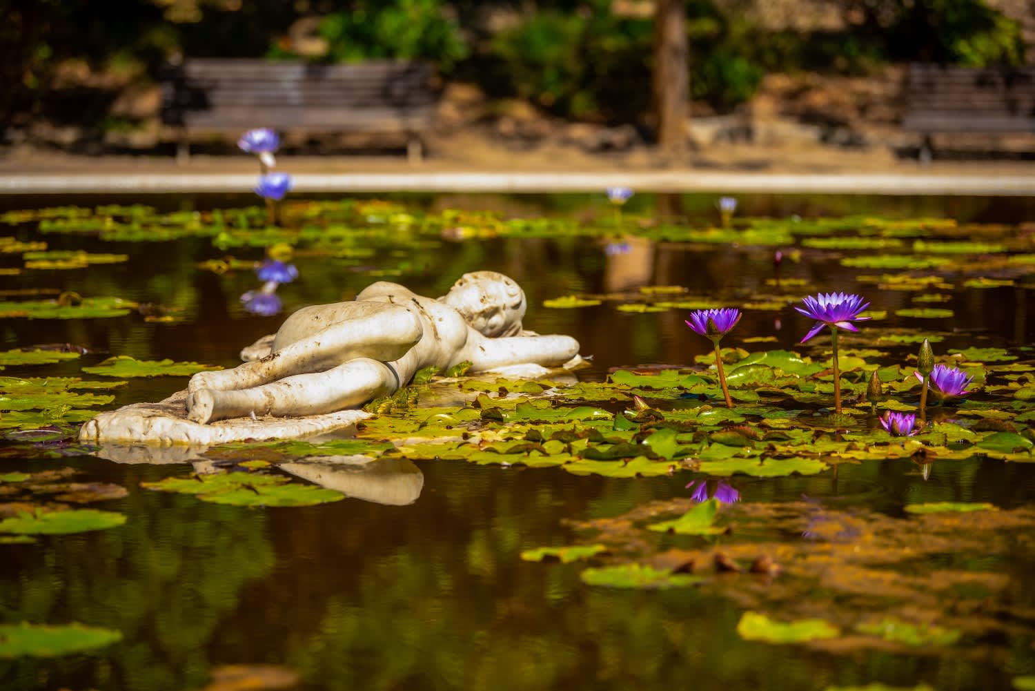 Parques y jardines Benalmádena