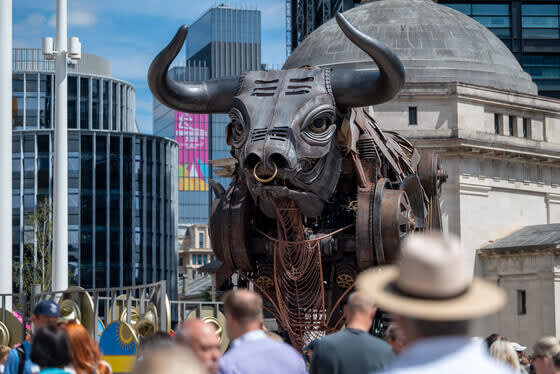 Ozzy the bull looming over a crowd in Centenary Square