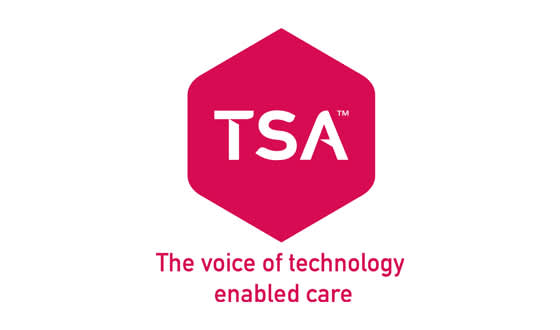 TSA logo