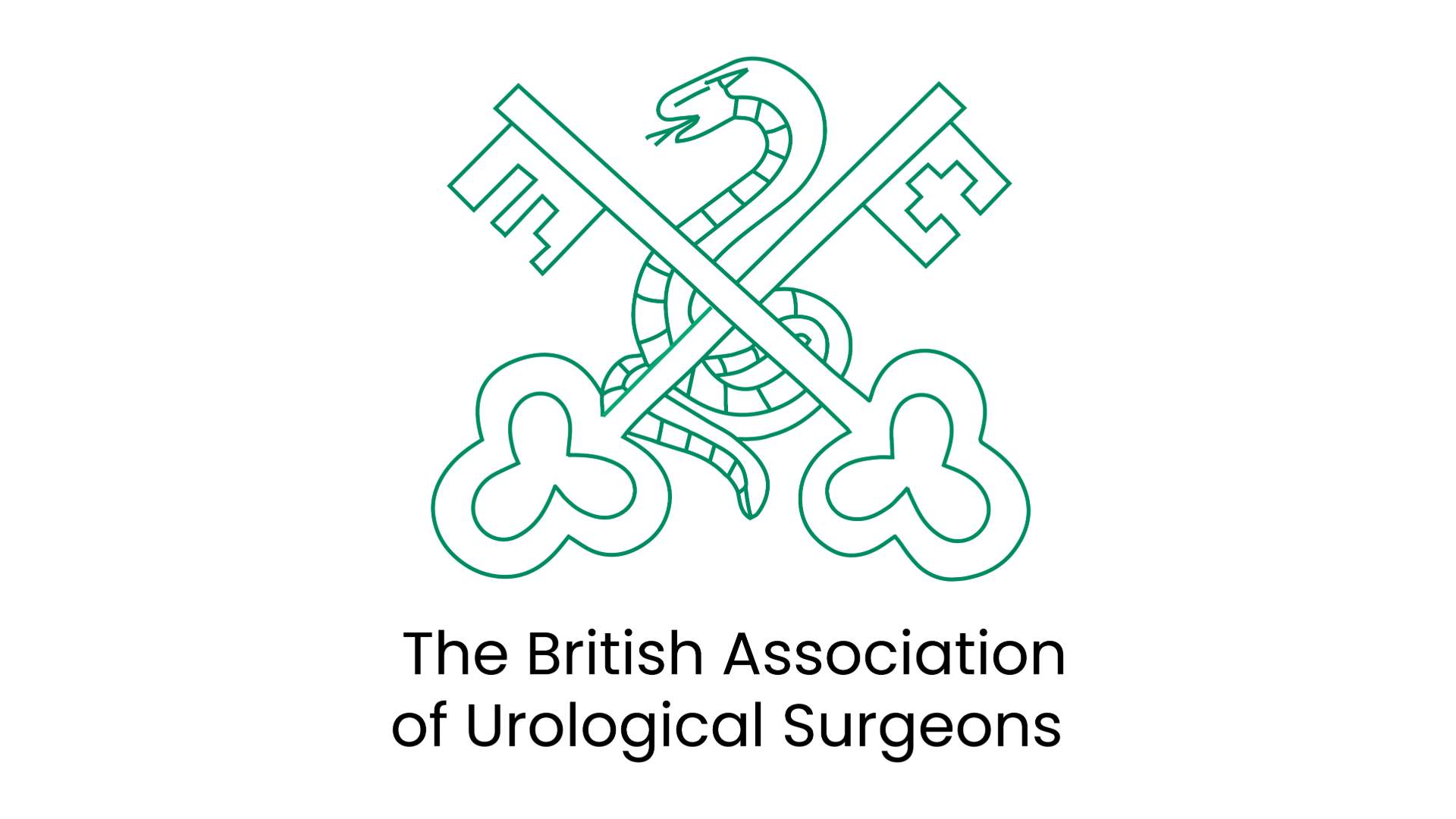 Baus Logo