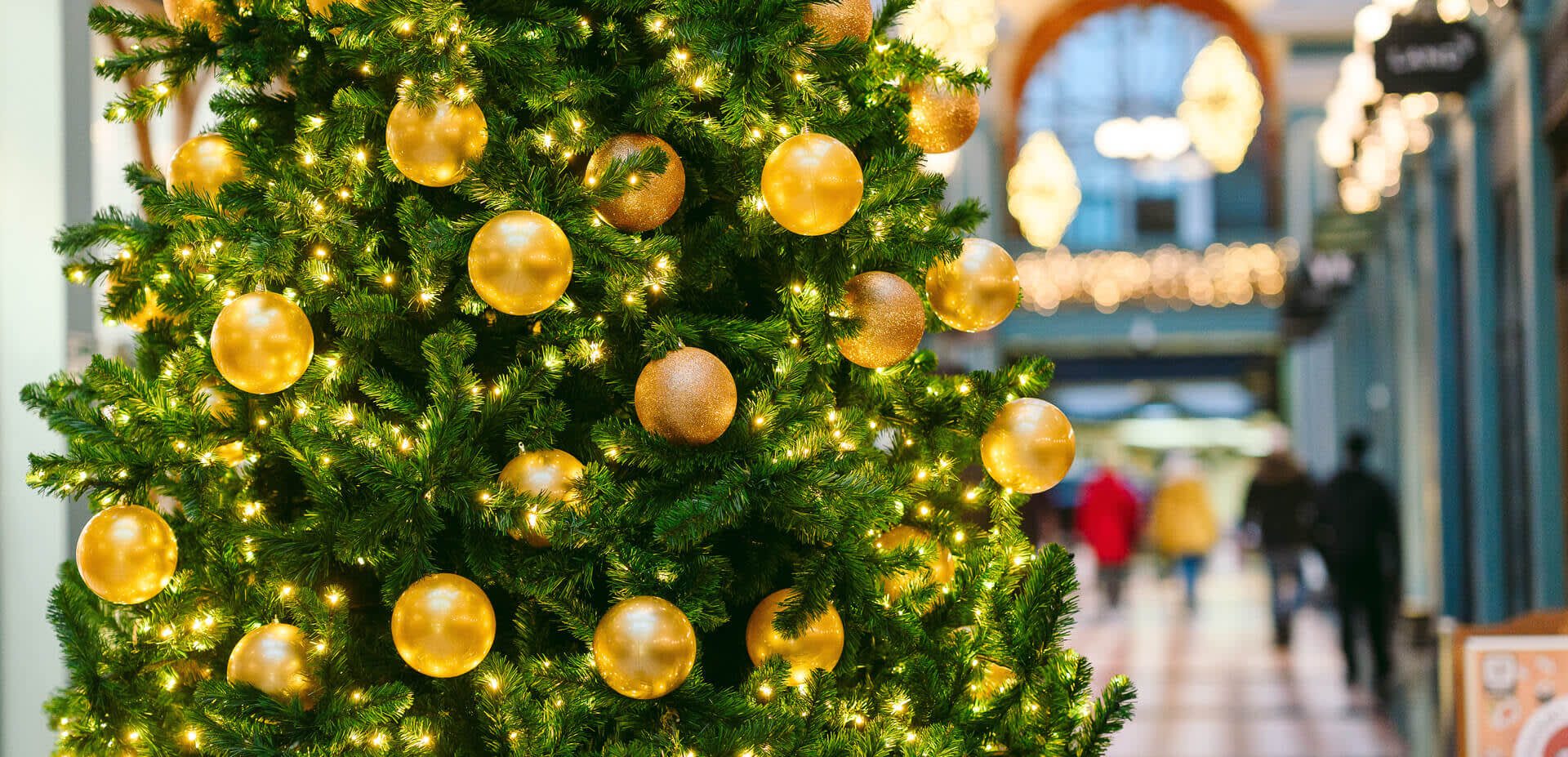 A closeup photograph of a Christmas tree with the shops of the Great Western Arcade in the background