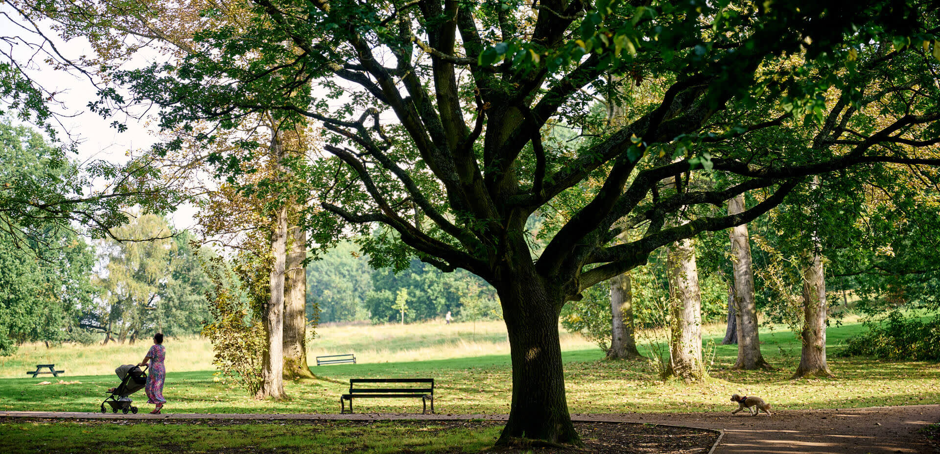 A person walks their child through a park surrounded by greenery and a large, thriving tree