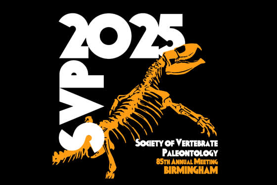 SVP 2025