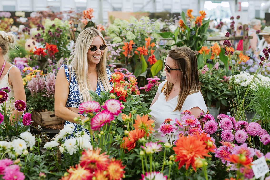 RHS Badminton Flower Show
