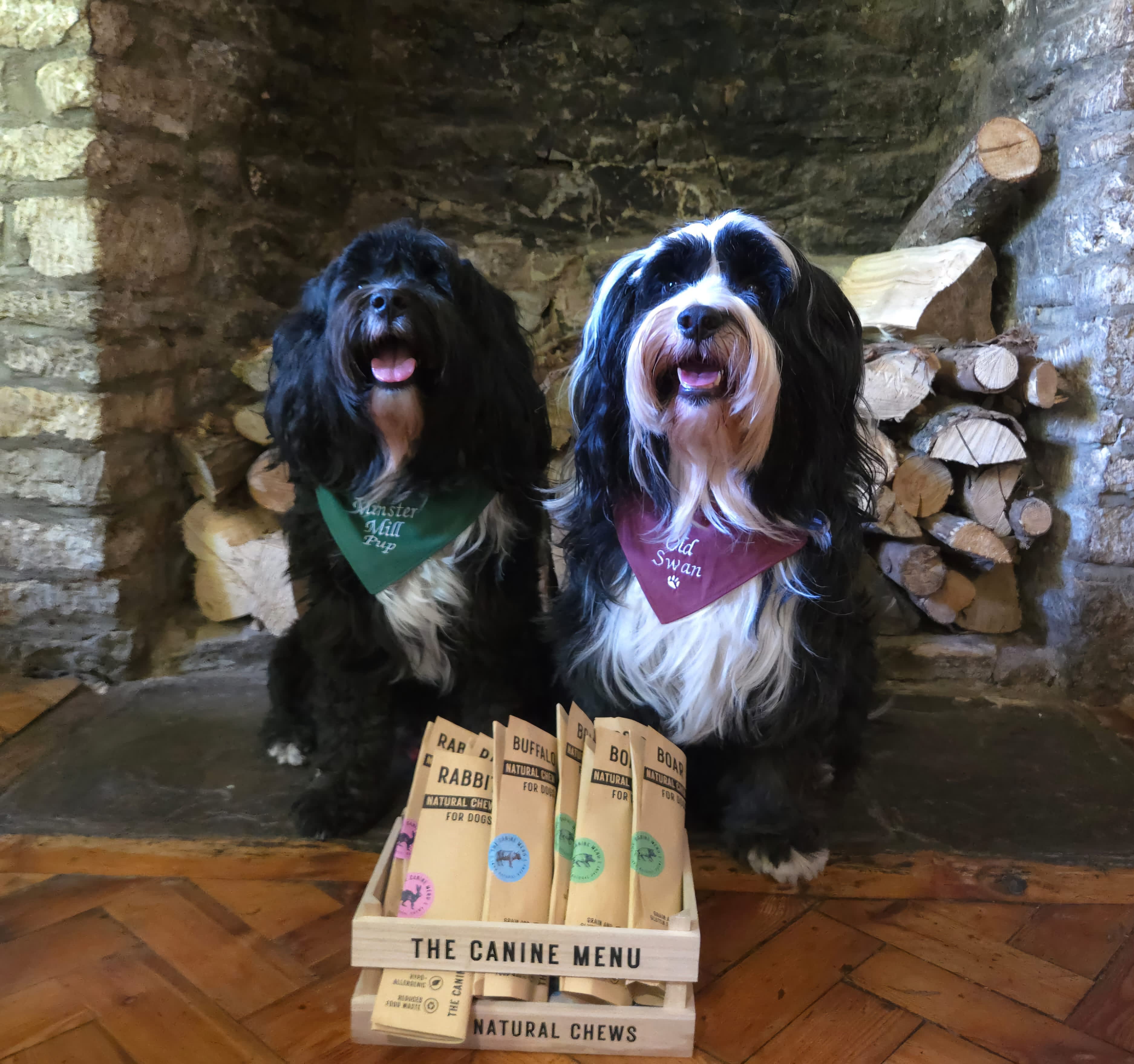 Two dogs sitting by a fireplace