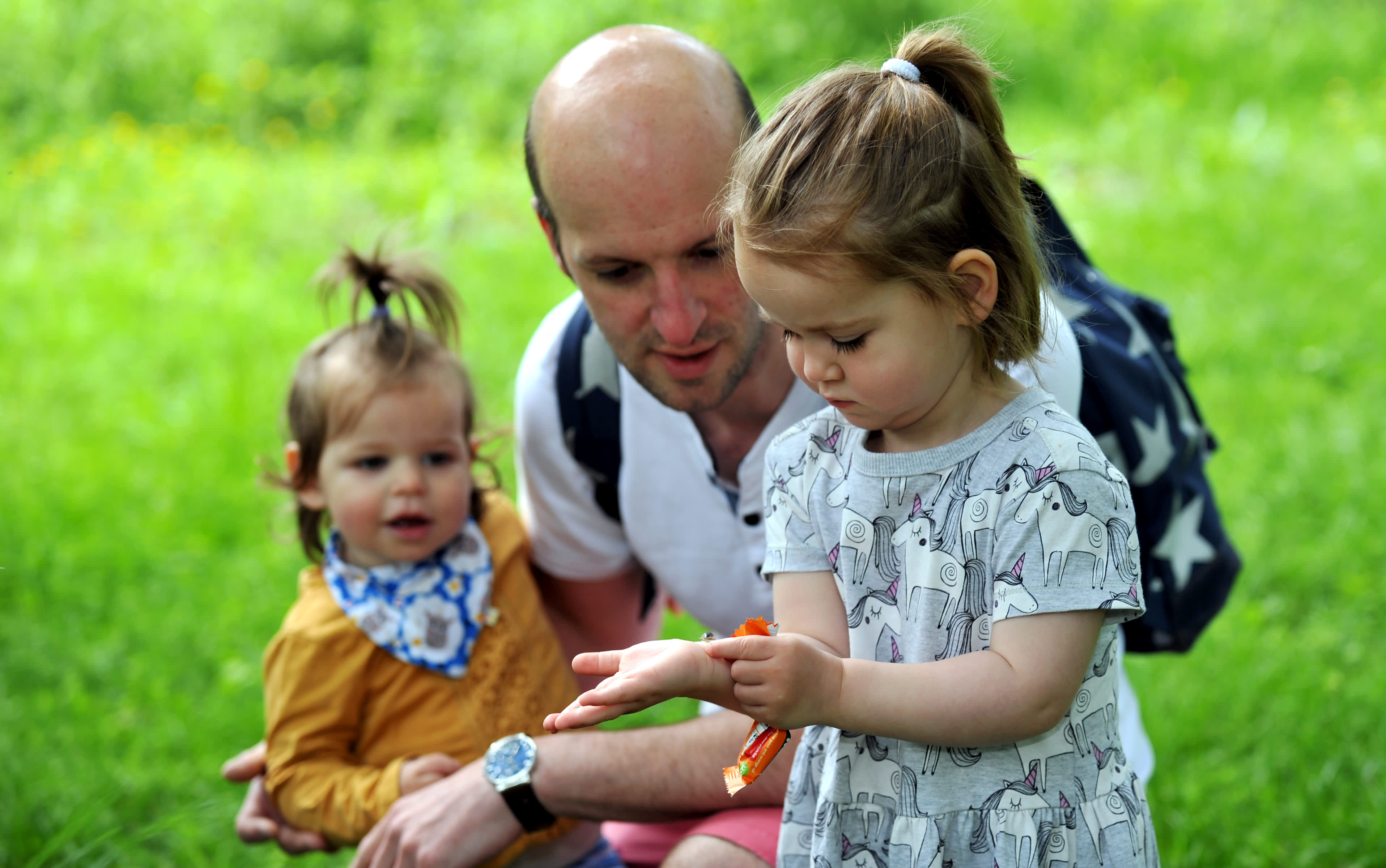 Children in the Cotswolds with a ladybird