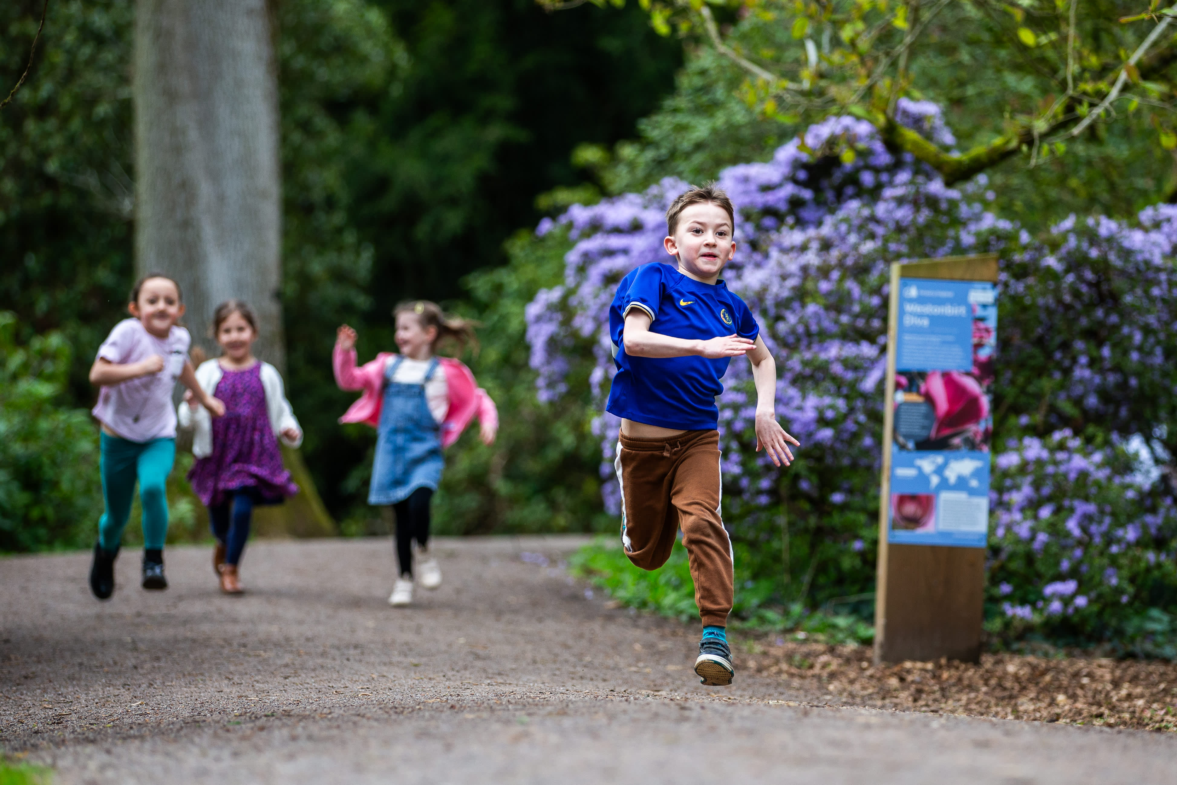 Westonbirt this Spring