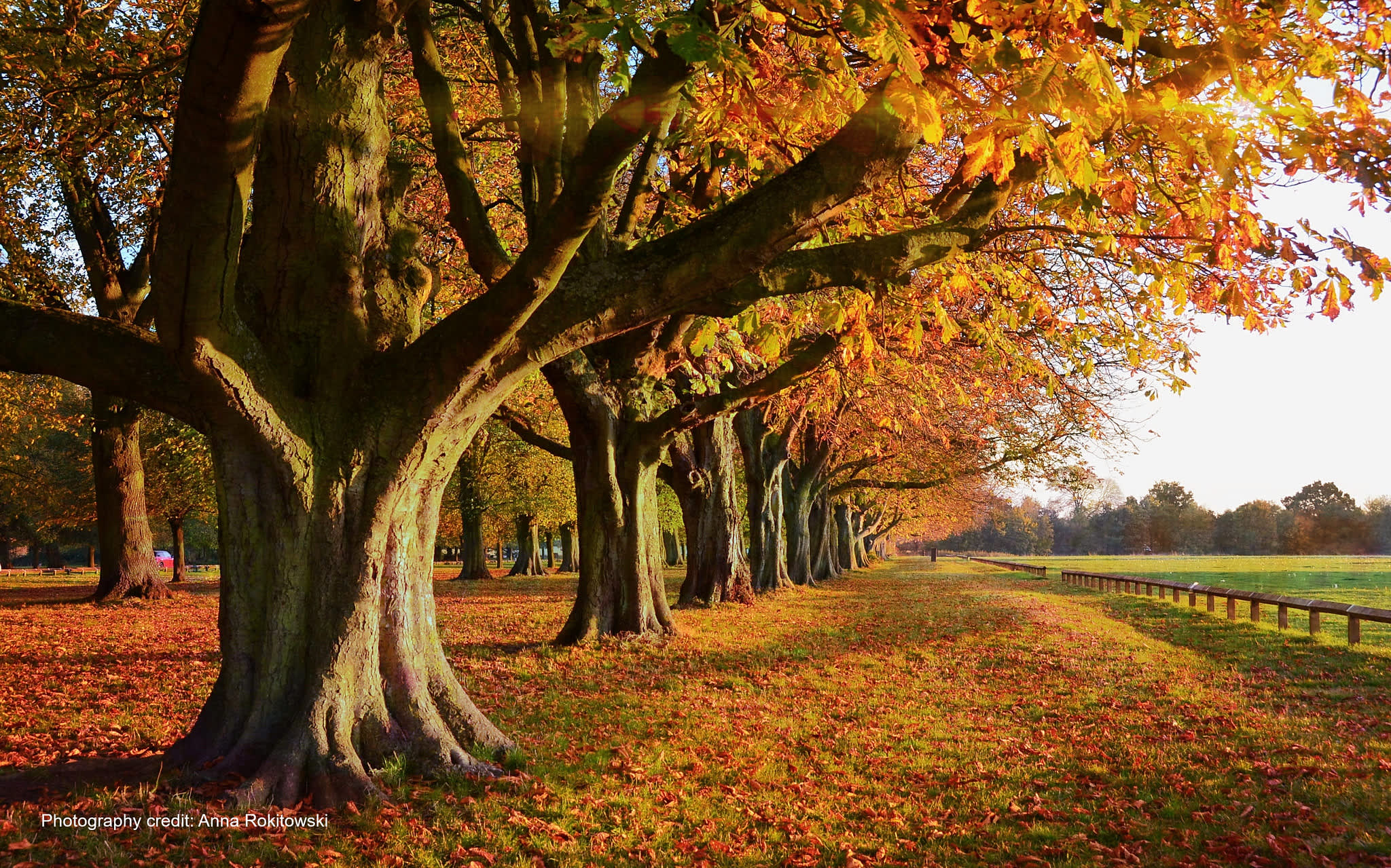 Your Guide to Halloween Events in Coventry