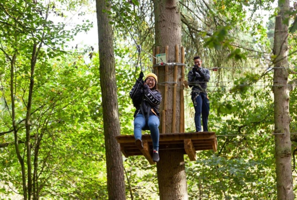 Go Ape