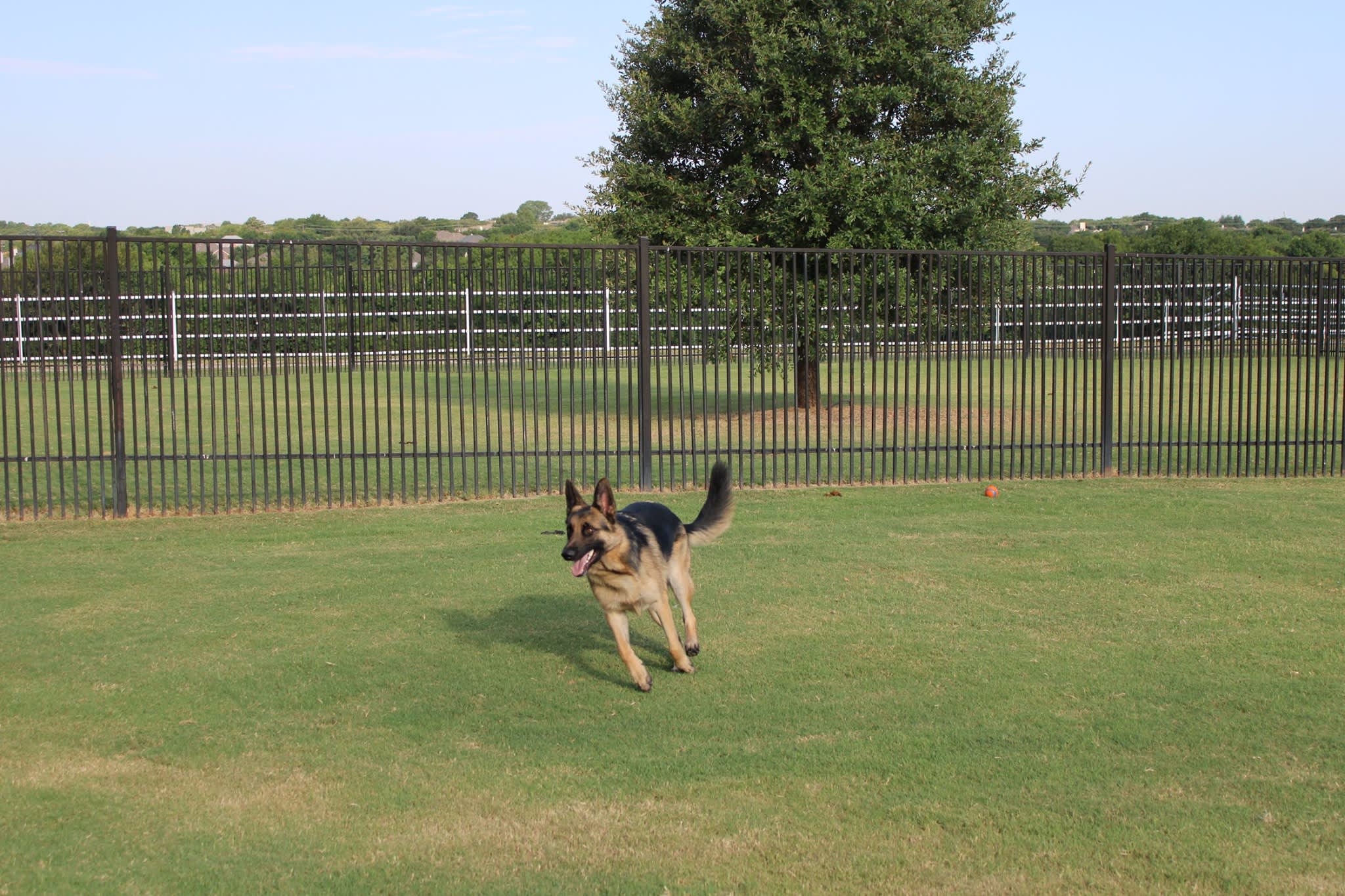 Castle creek pet spa sales