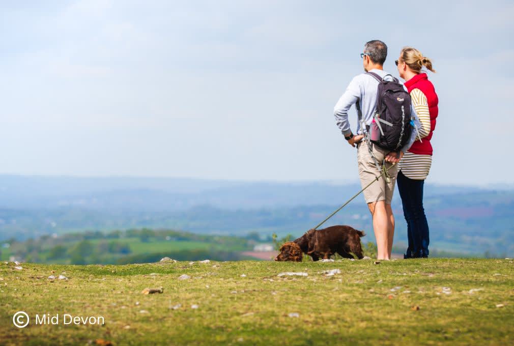 view of The Blackdown Hills Area of Outstanding Natural Beauty