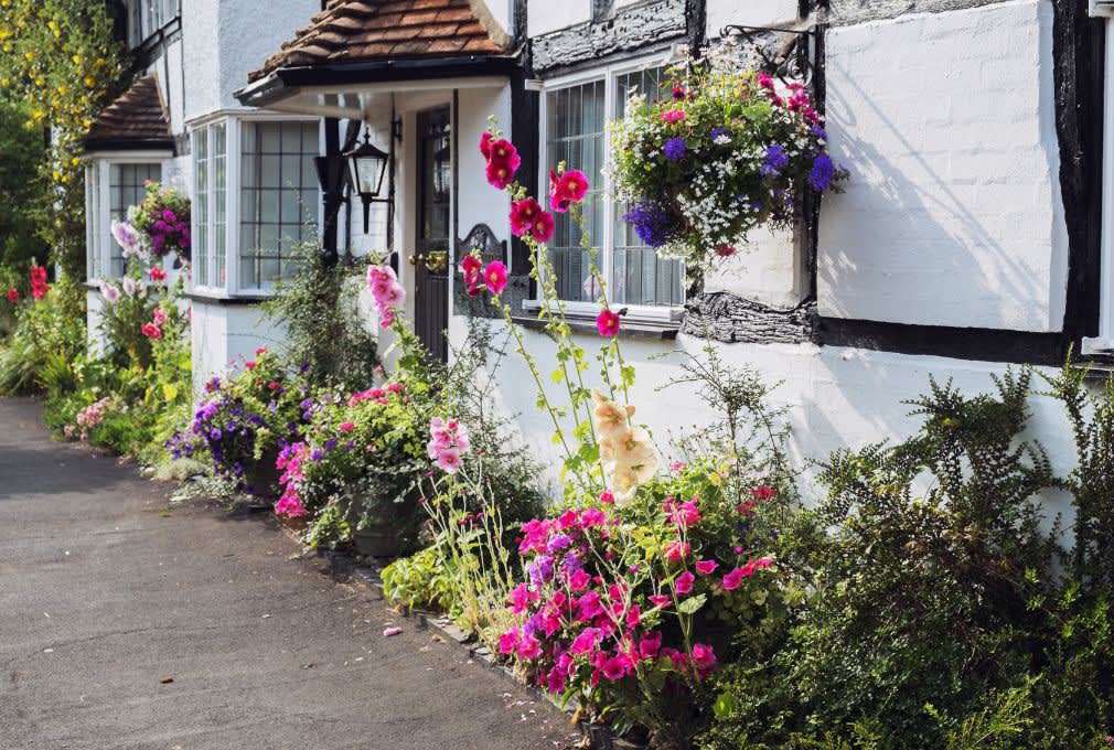 entrance to a white washed cottage with flowers planted at the front
