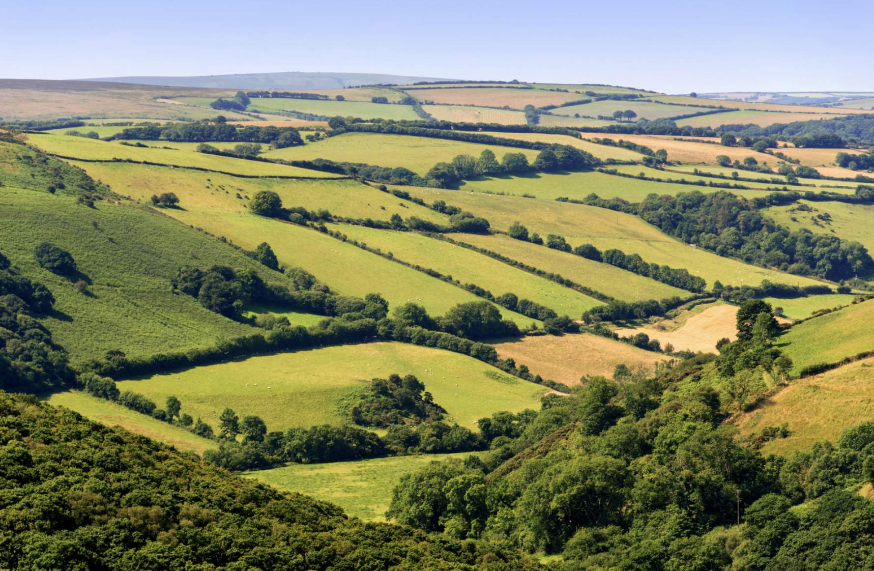 Exmoor