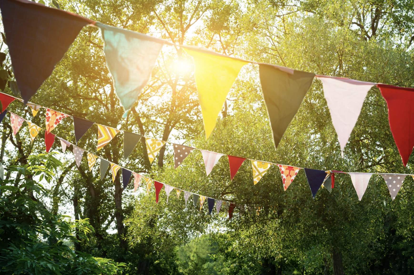 decorative bunting in forest