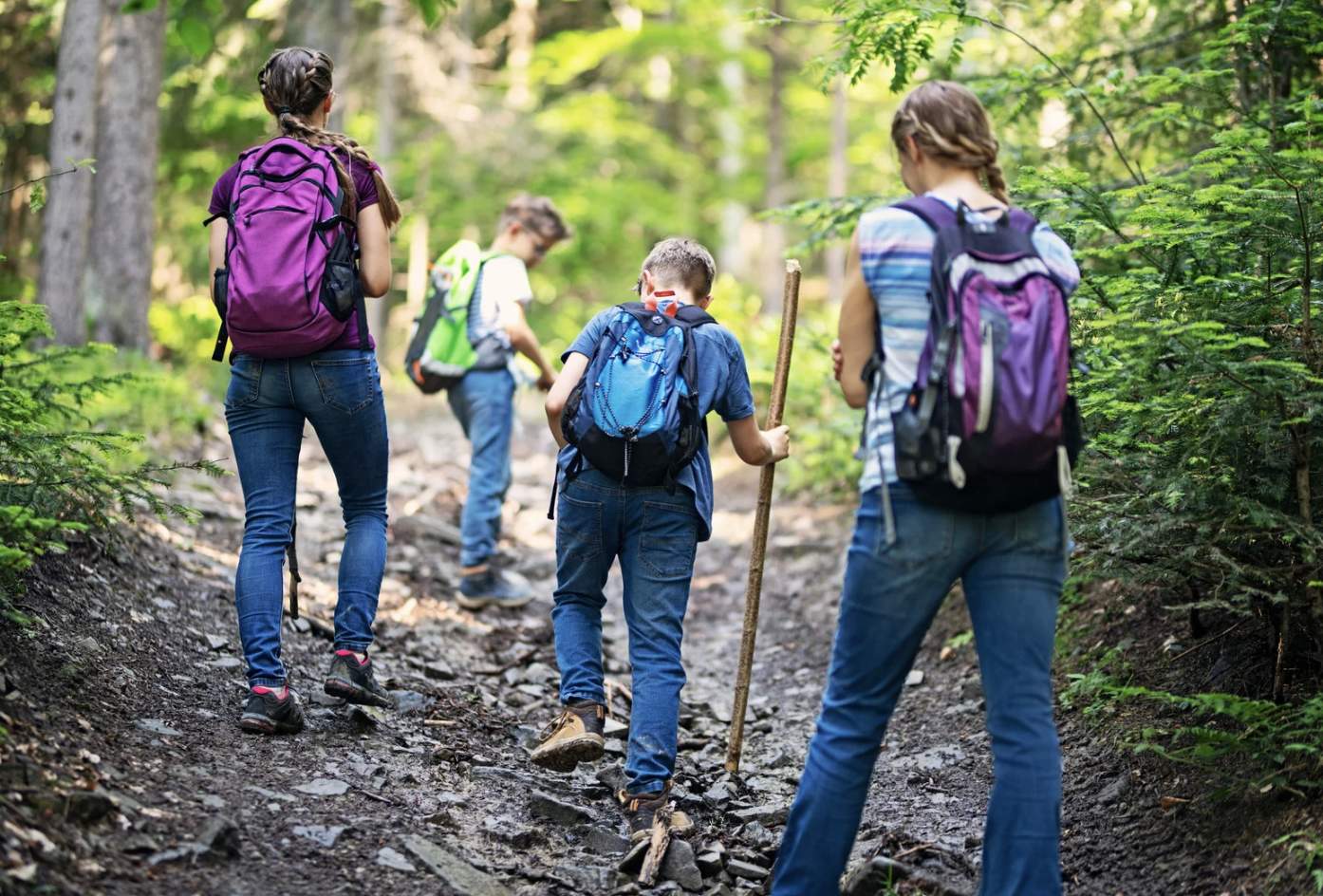 Four people with backpacks hike a rocky forest trail surrounded by lush greenery. They are using walking sticks, conveying exploration and adventure.