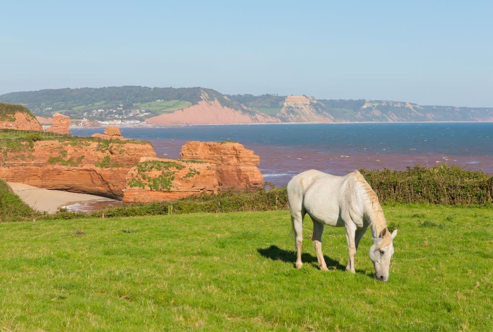 view of East Devon cliffs