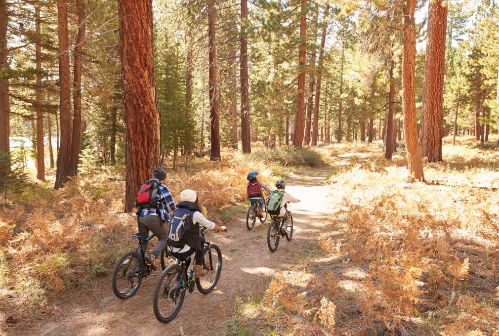family of four cycling in a wood in autumn