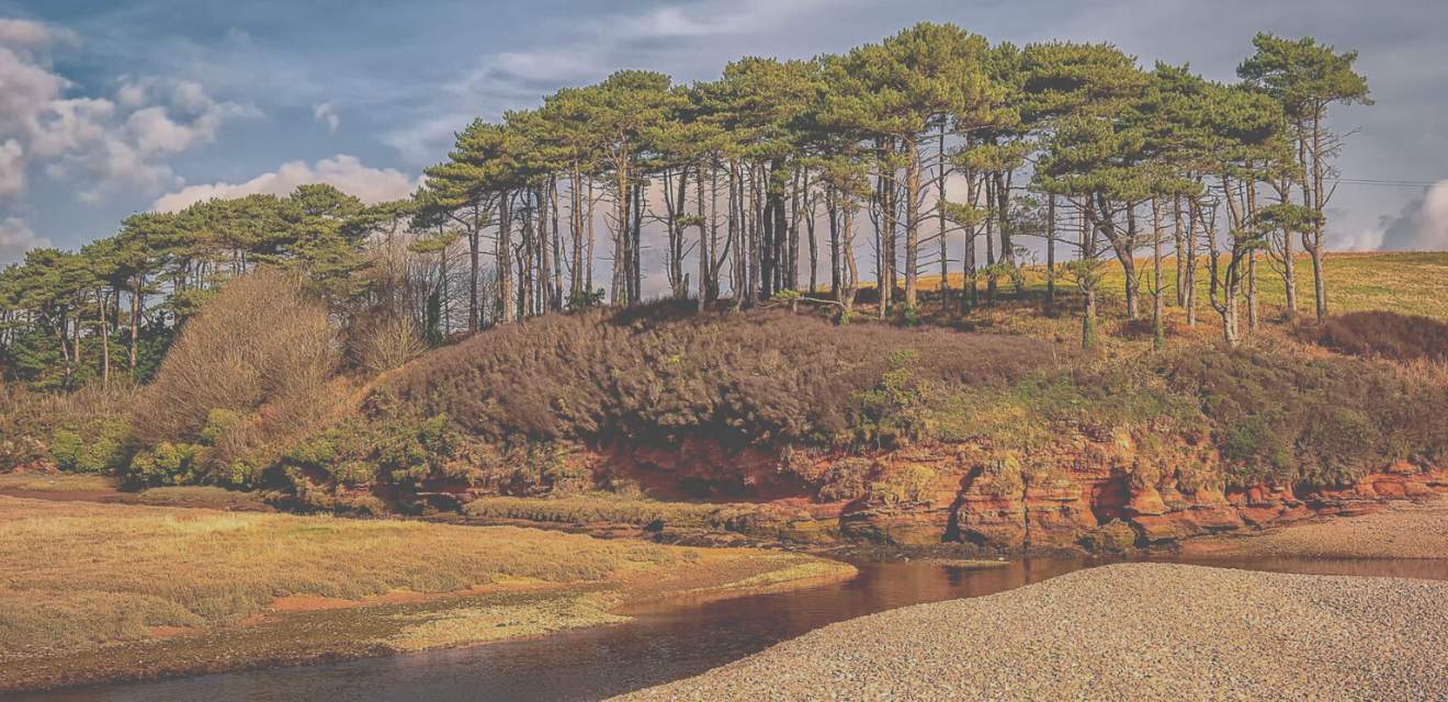 Visit Budleigh reconnect with nature