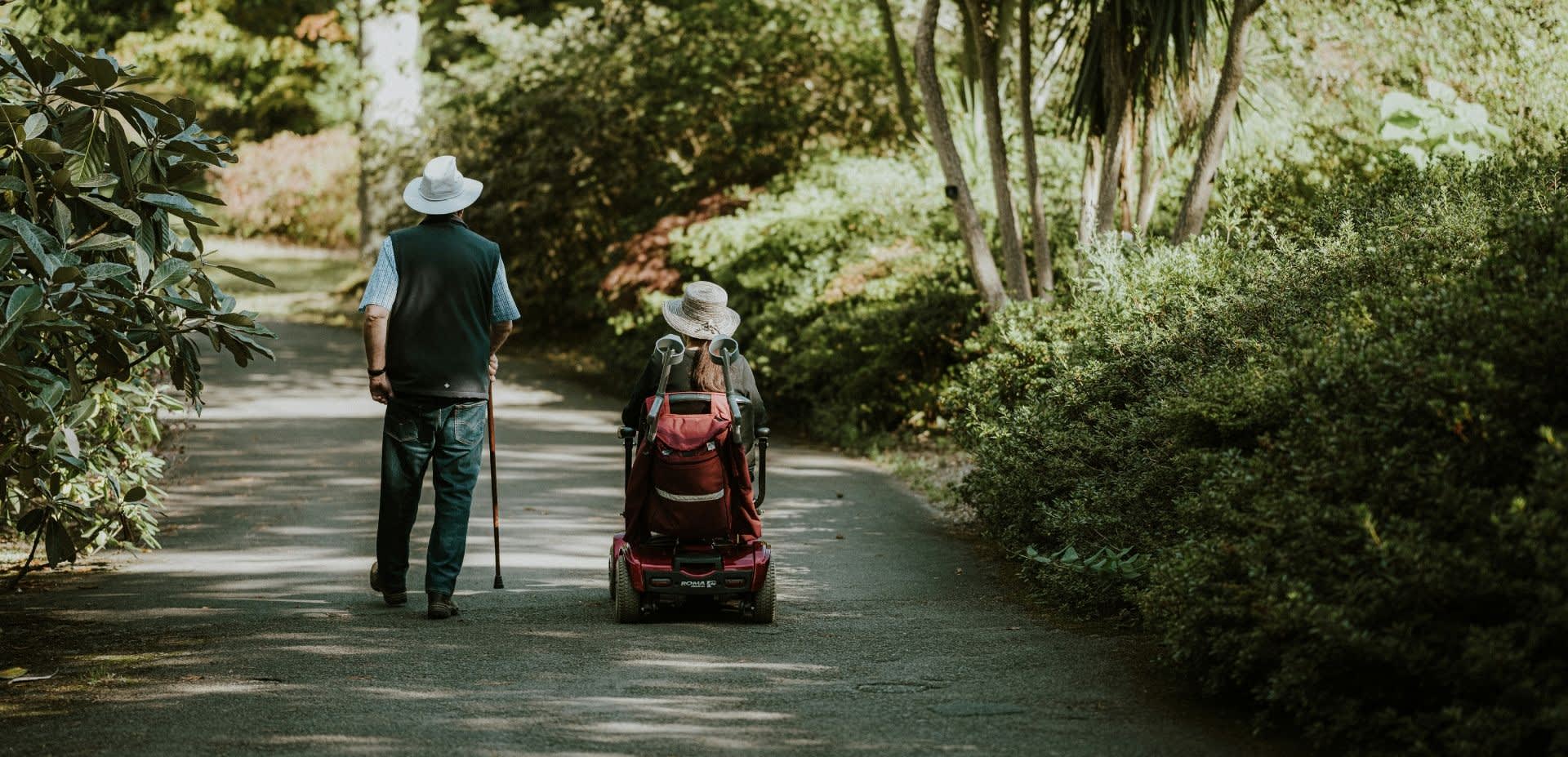 Wheelchair, path, walking