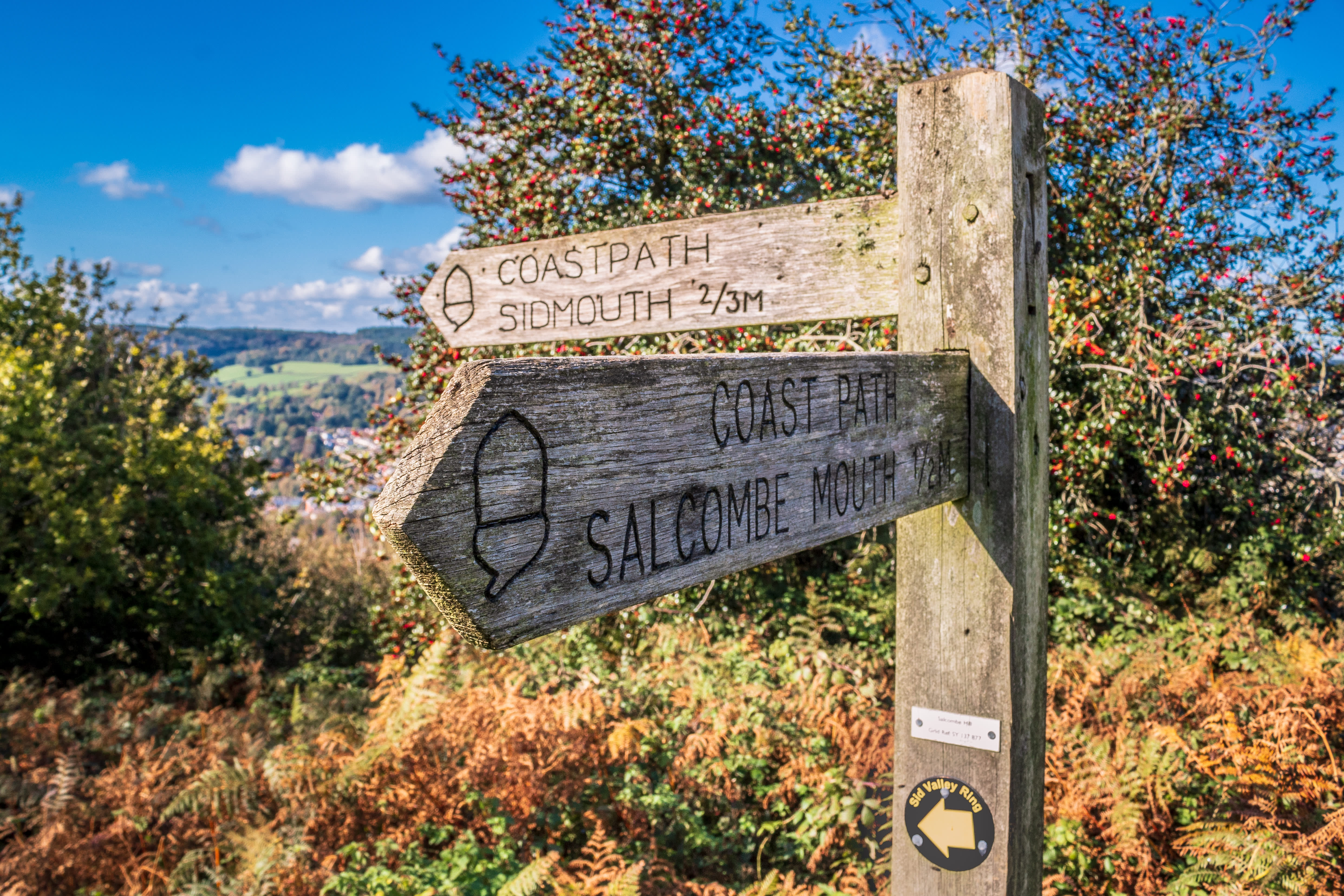 wooden sign for coast path for sidmouth and salcombe