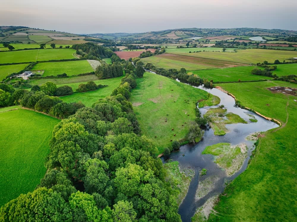 The Exe River Valley
