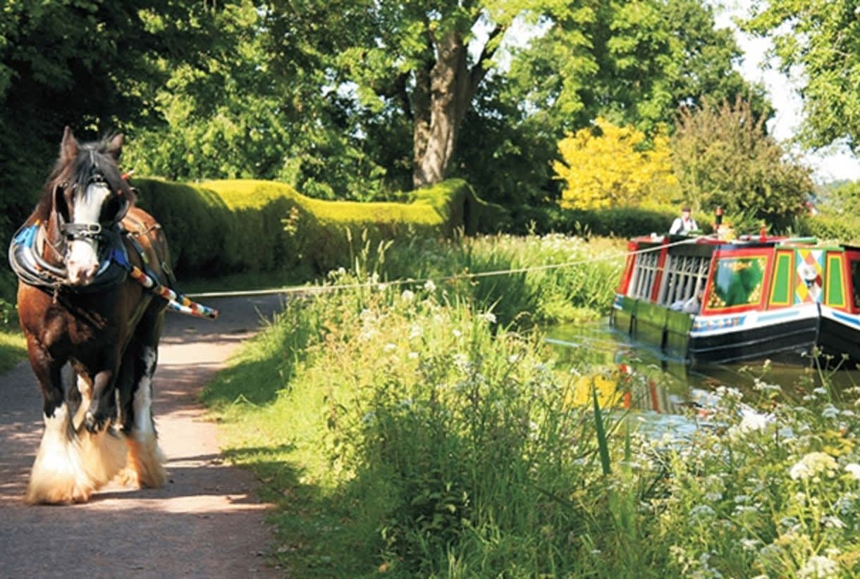 Things to do in Mid Devon this spring