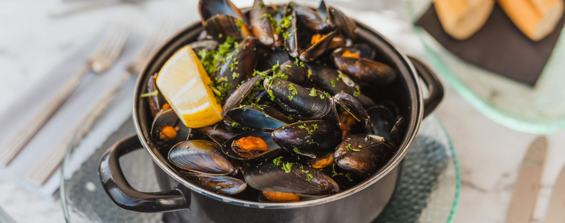 Mussels from Salt on the Harbour