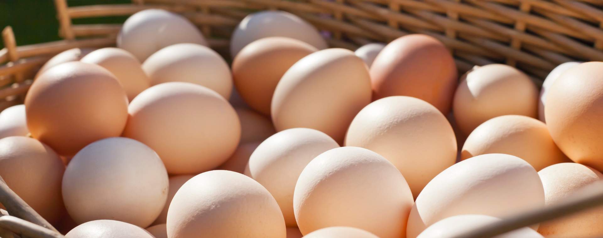 A basket full of eggs