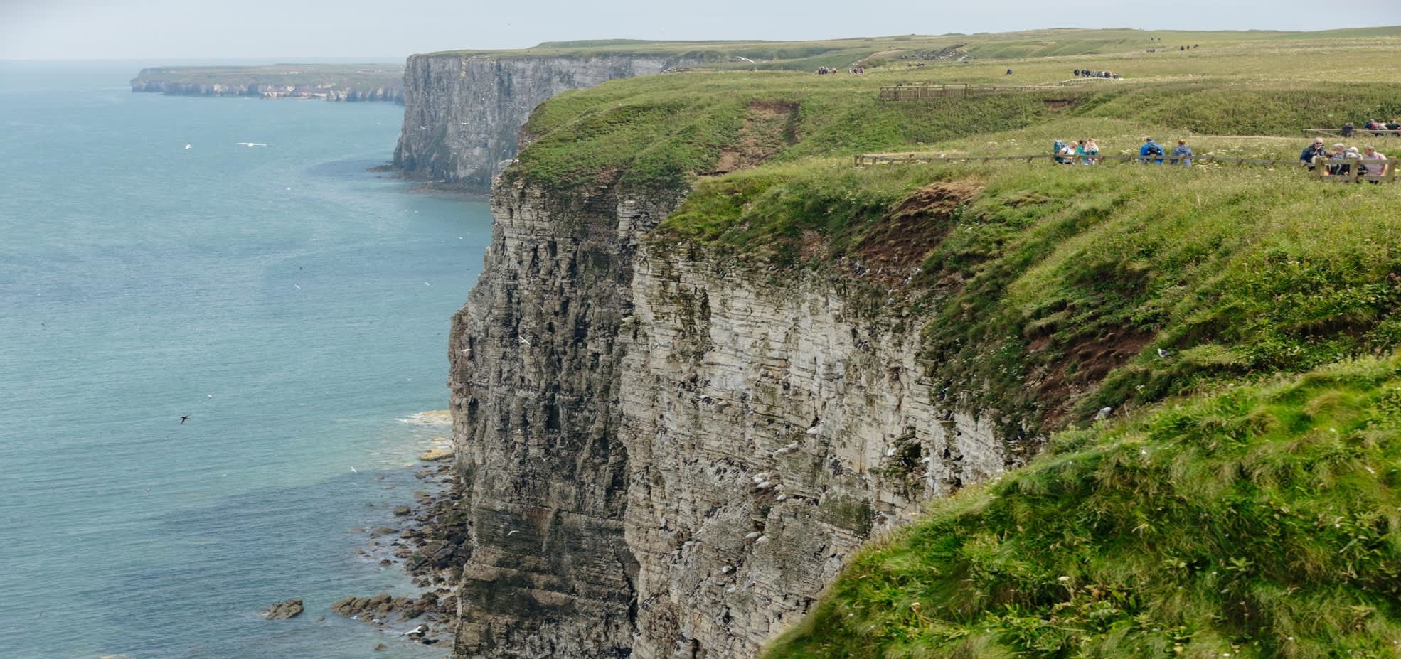 Bempton Cliffs