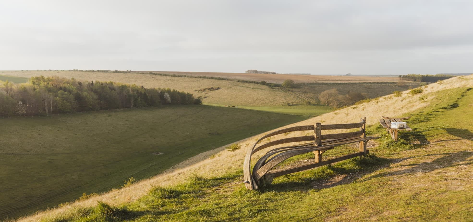 Wolds