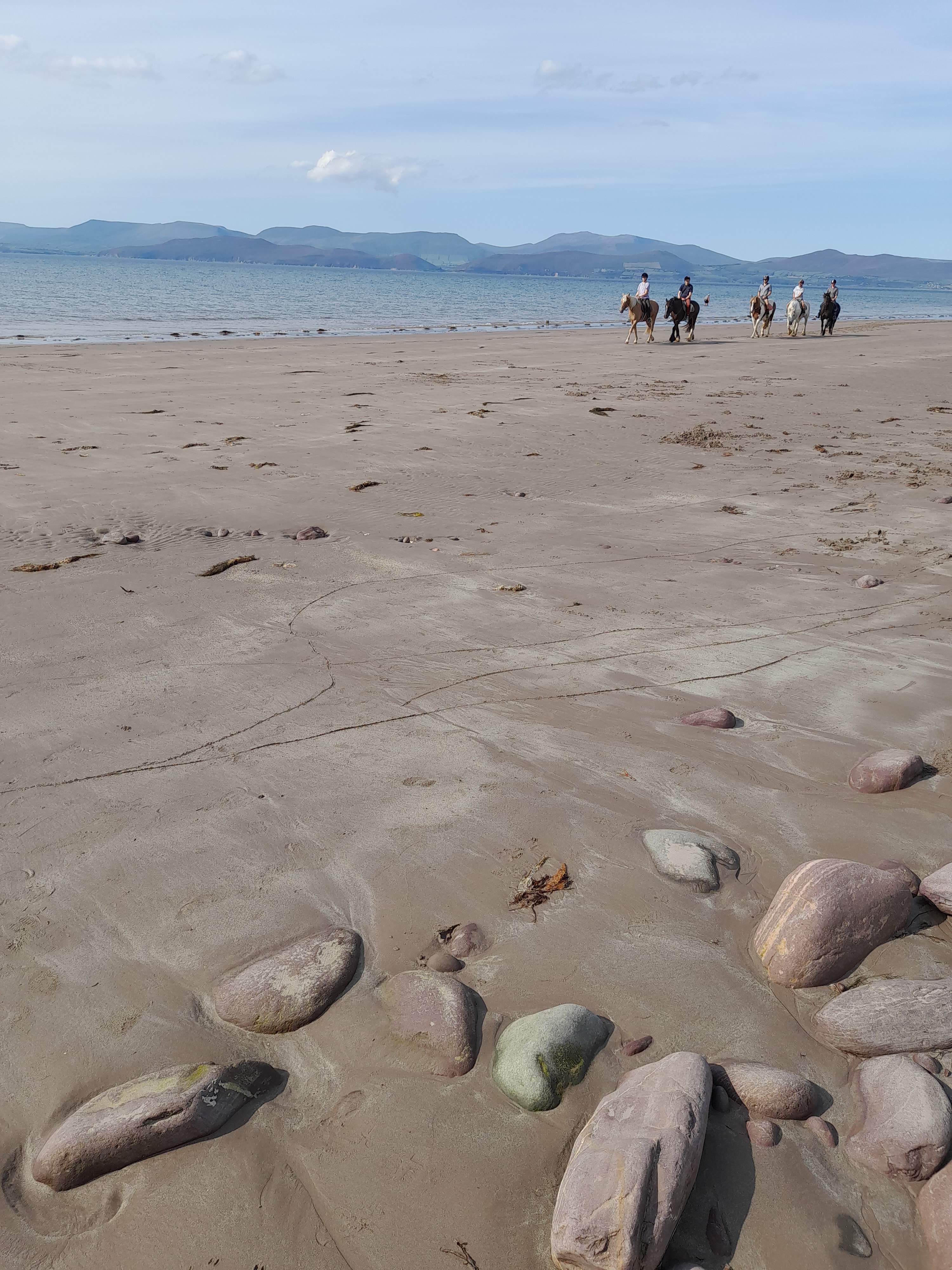 Kerry South Rossbeigh ReeksDistrict HorseridingonRossbeighbeach JoanneMcCarthy phone