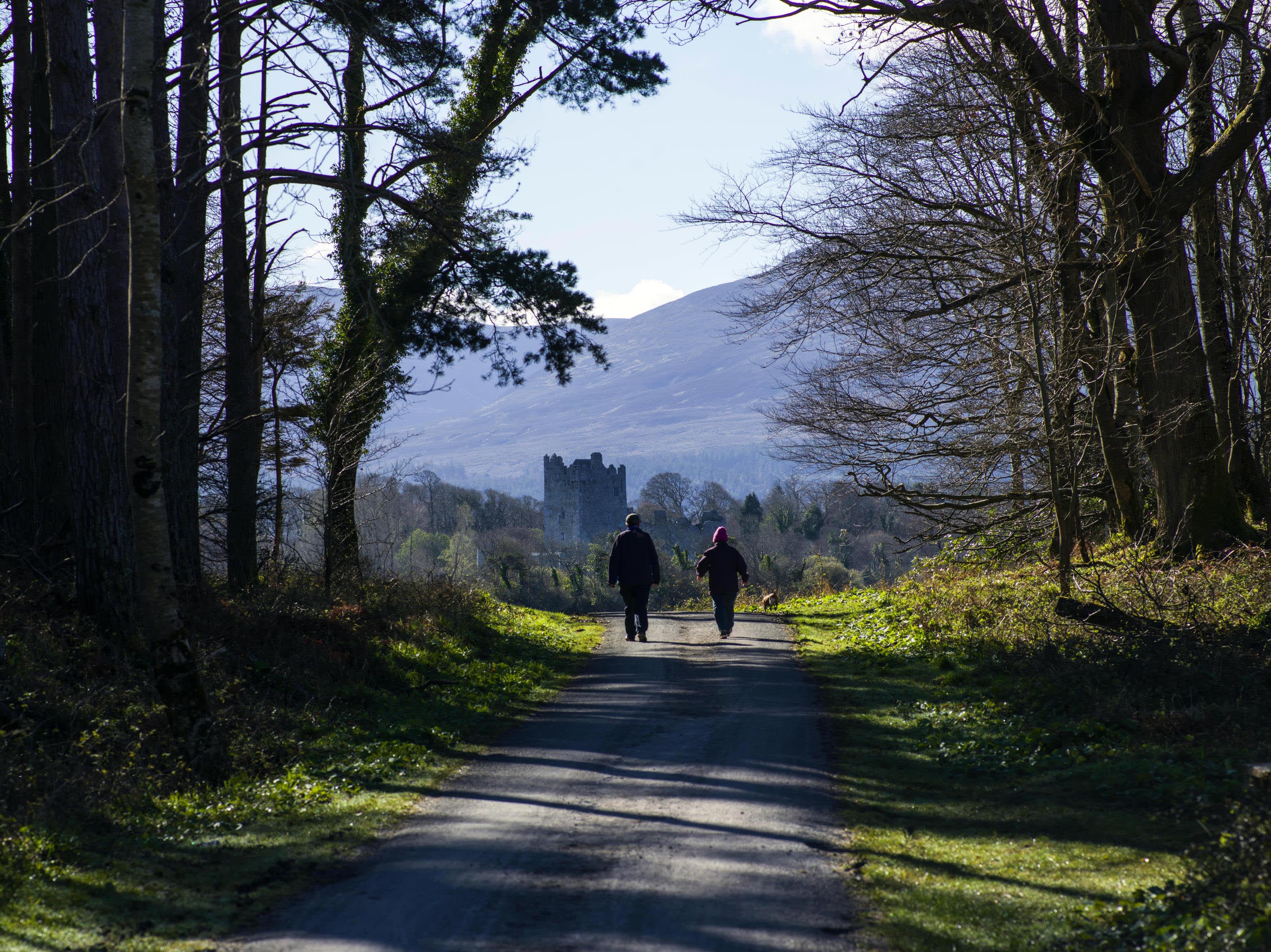 Walking_in_the_Killarney_Demesne_near_Ross_Castle_Killarney_Co_Kerry_master