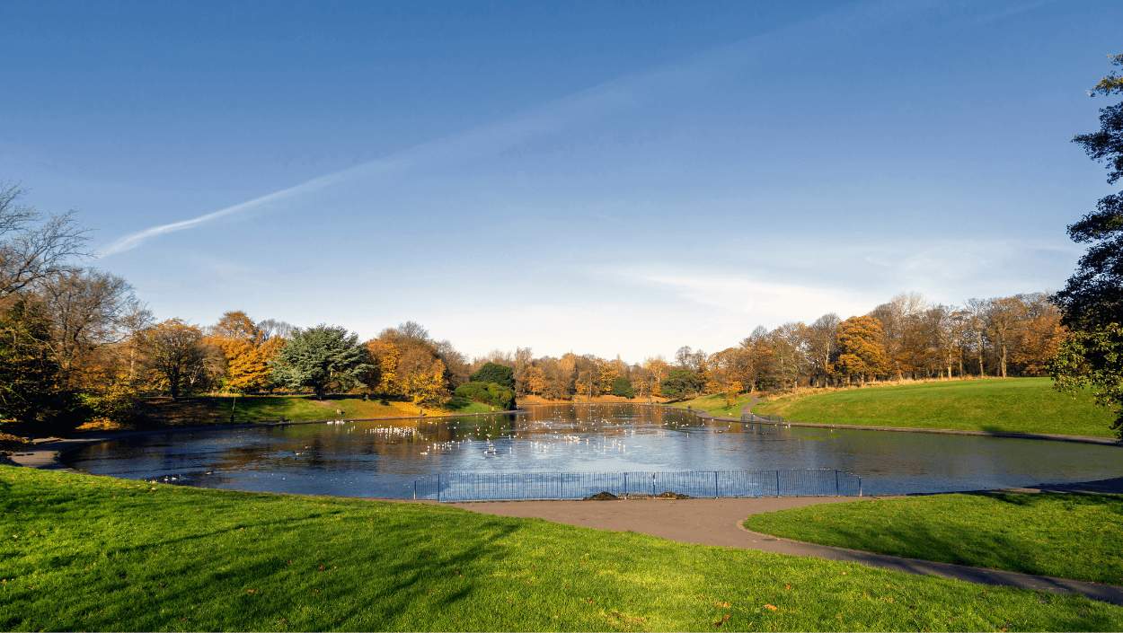 A large lake in a park surrounded by trees and lush green grass