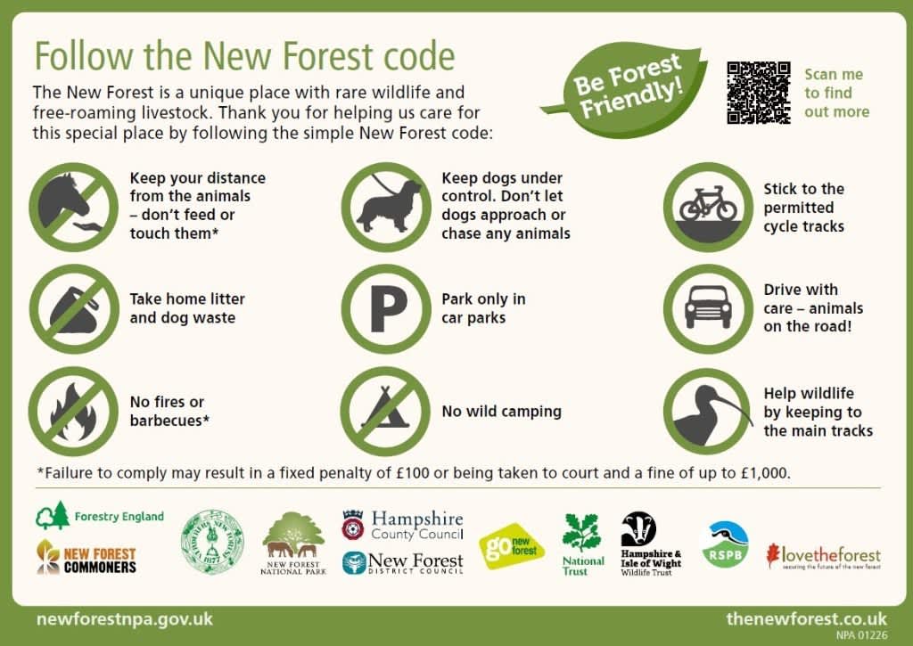Follow the New Forest Code