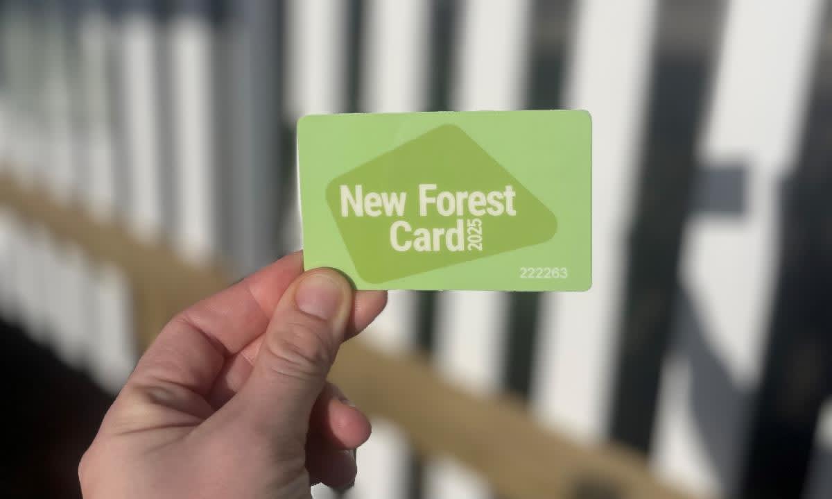 New Forest Card 2025