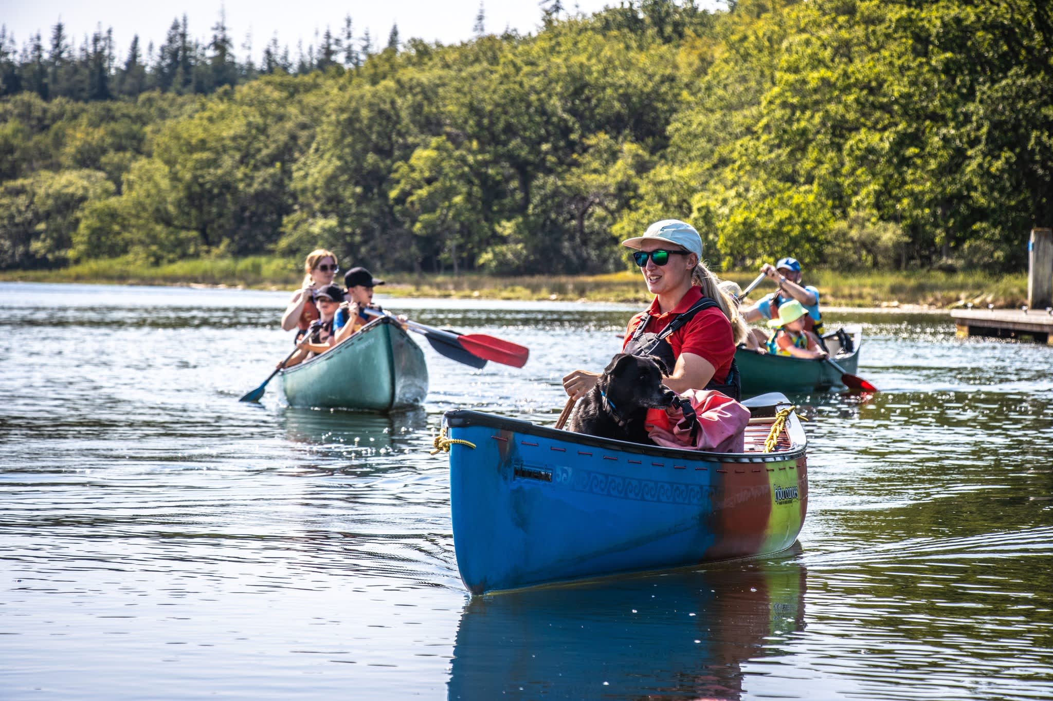 Dog in canoe with New Forest Activities