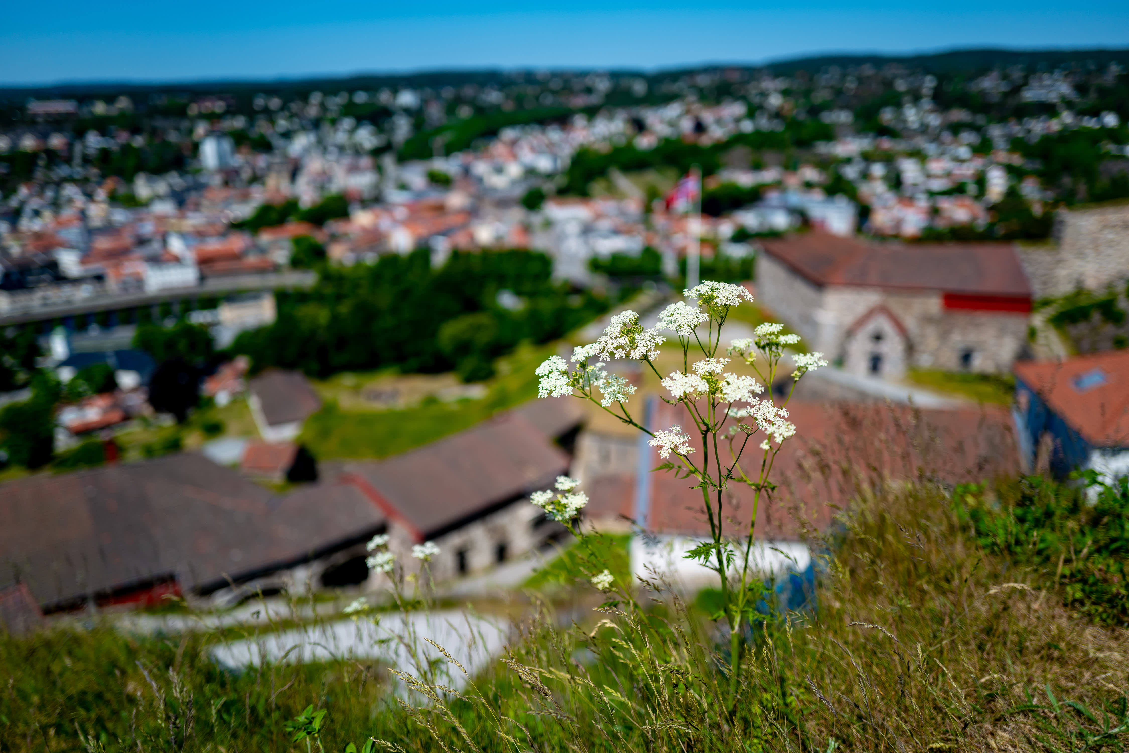 Utsikten fra Fredriksten festning i Halden, langs Borgleden Halden-Sarpsborg
