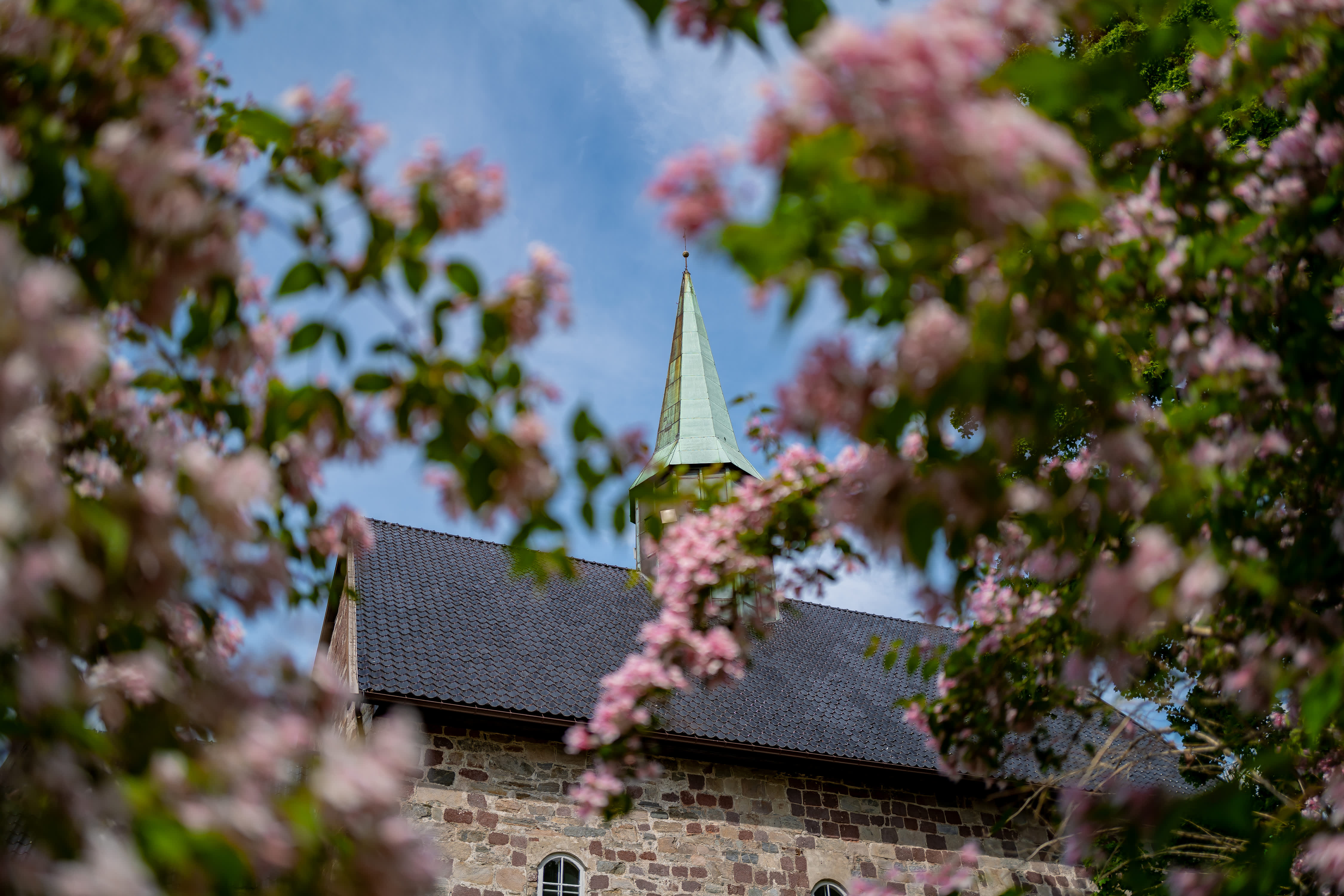 Et kirkespir med et tre foran som har rosa blomster